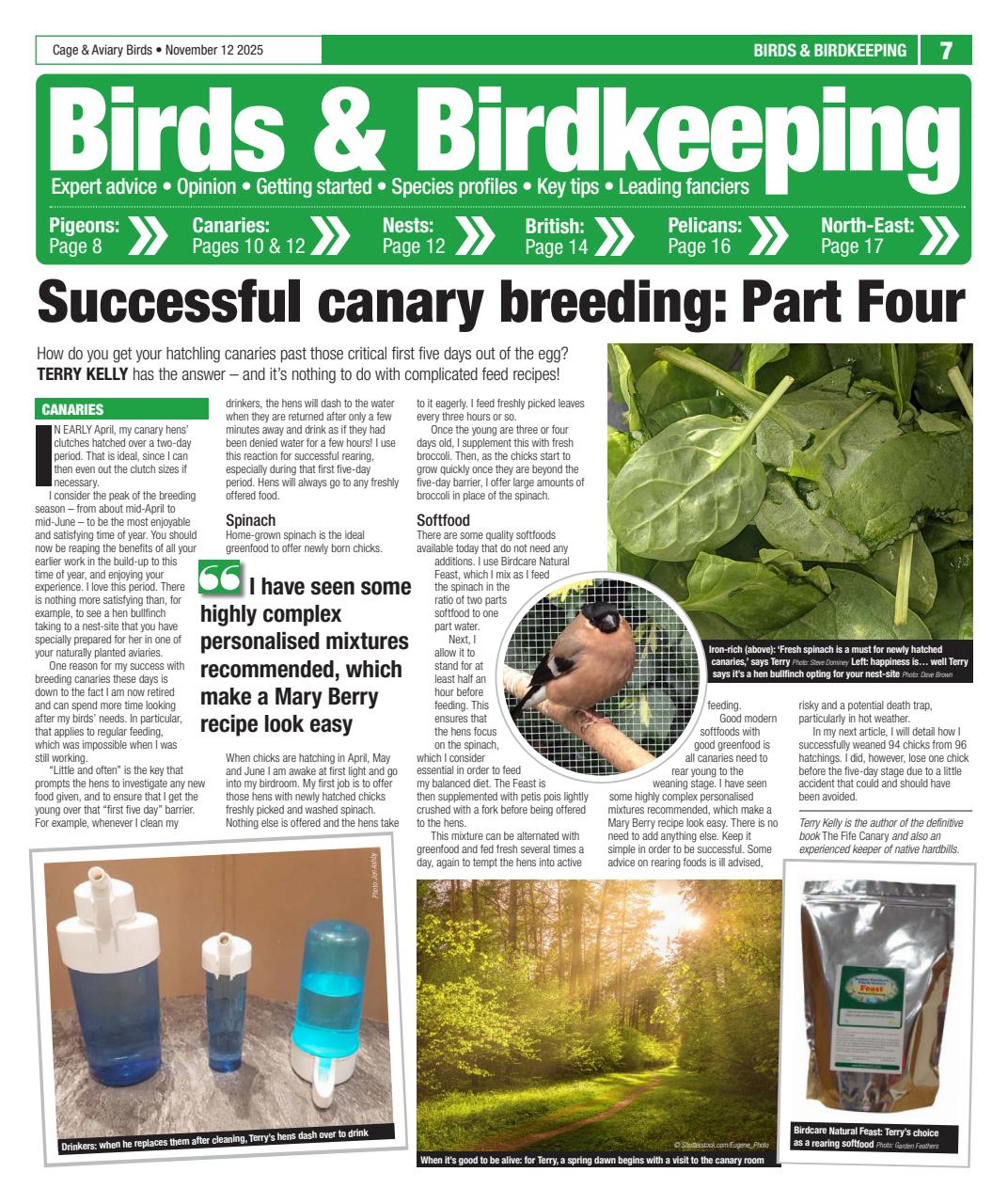 Cage & Aviary Birds Preview Pages