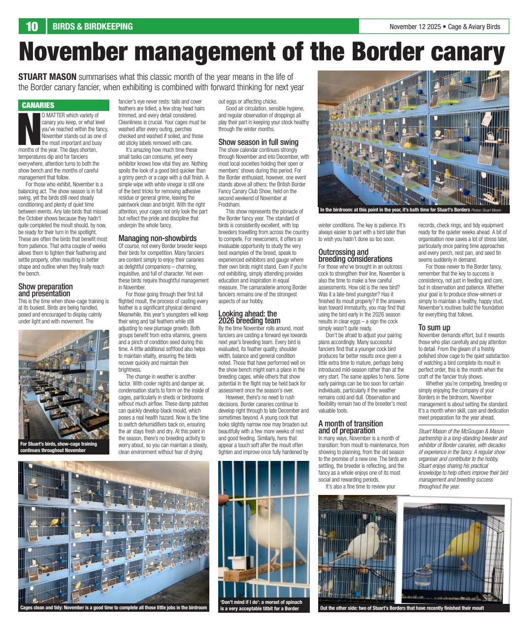 Cage & Aviary Birds Preview Pages