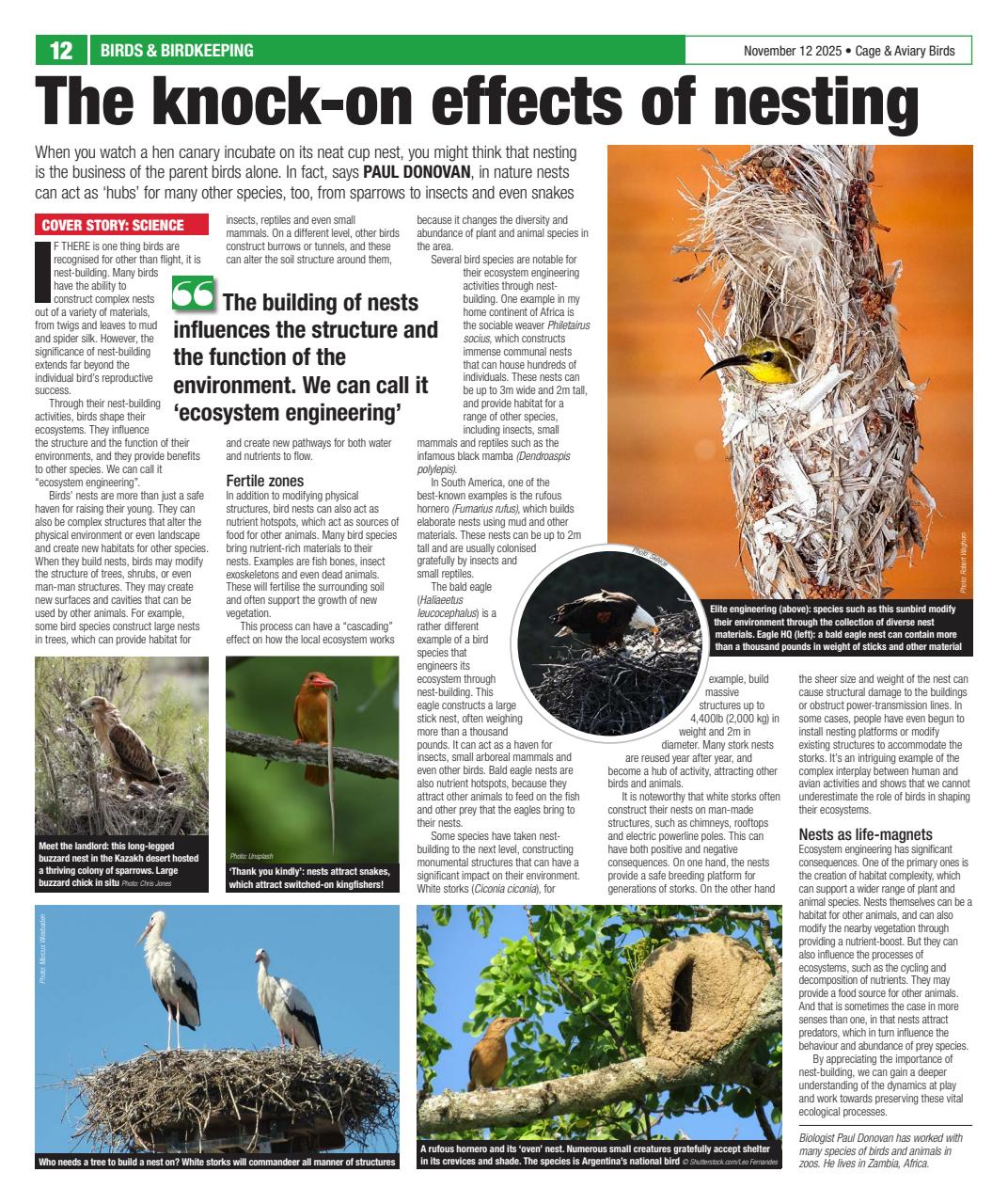 Cage & Aviary Birds Preview Pages