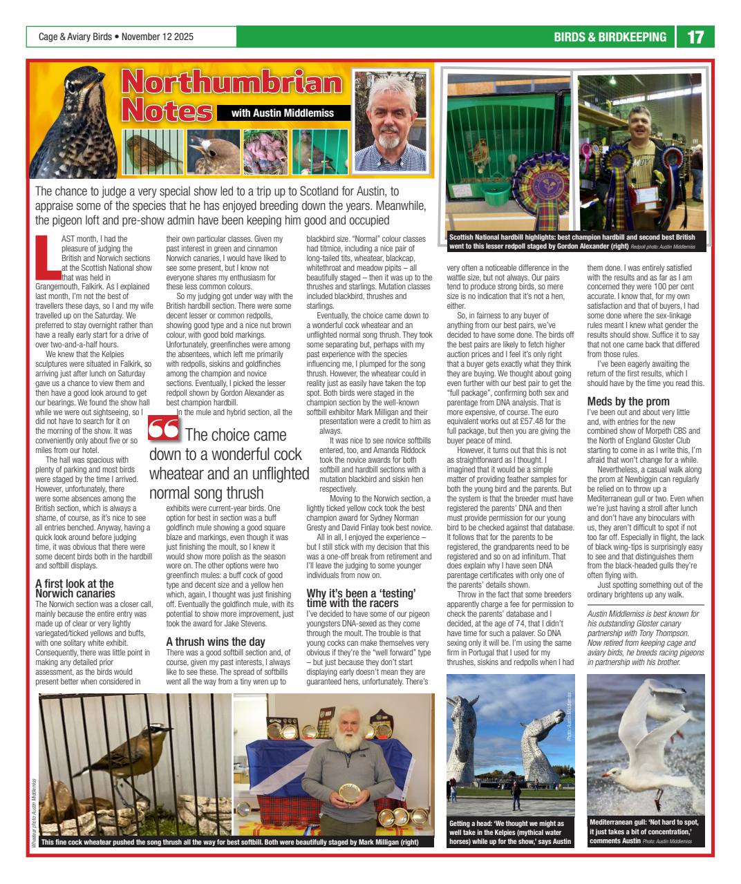 Cage & Aviary Birds Preview Pages