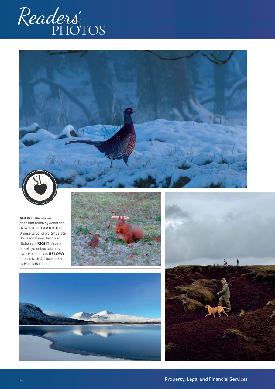 Scottish Field Preview Pages