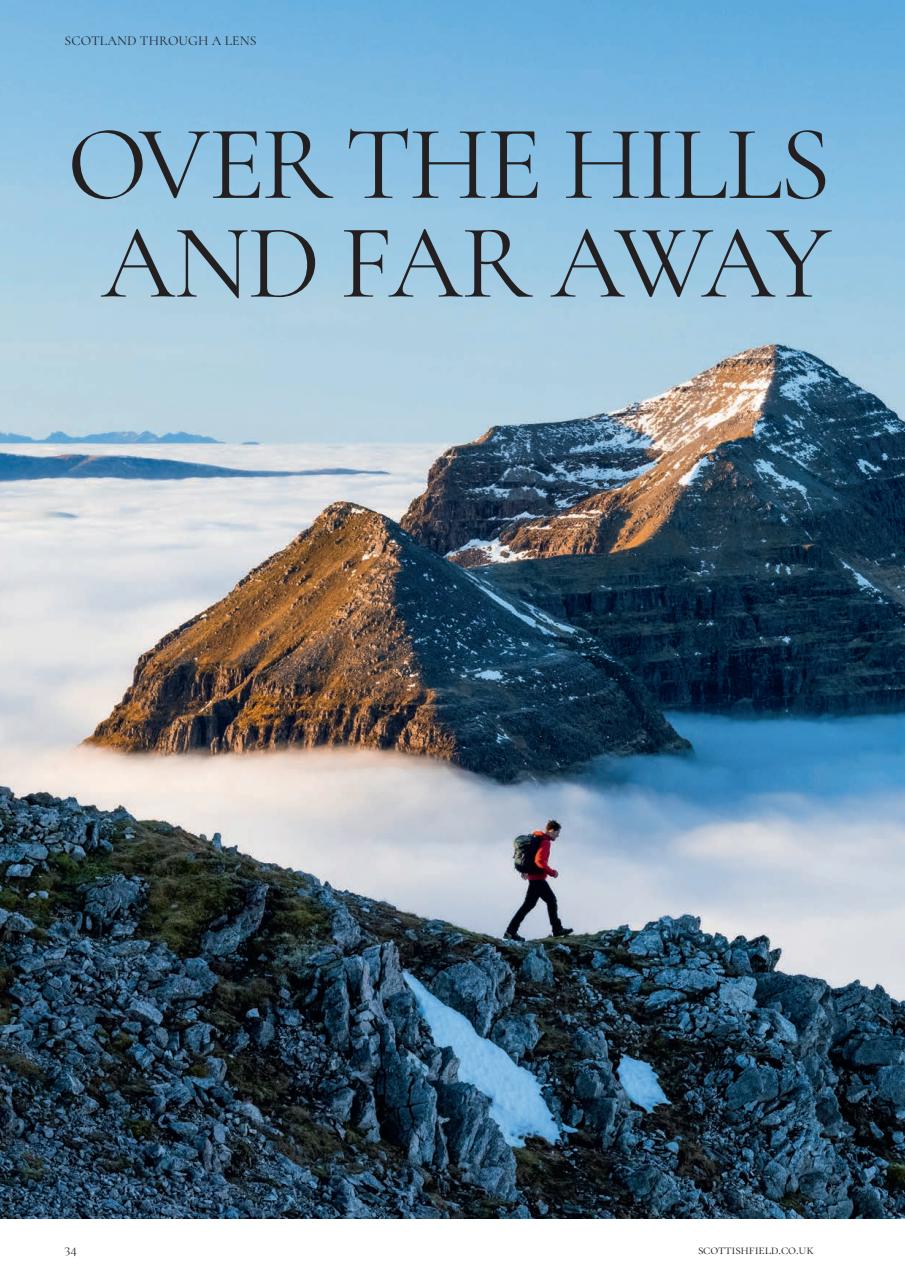 Scottish Field Preview Pages