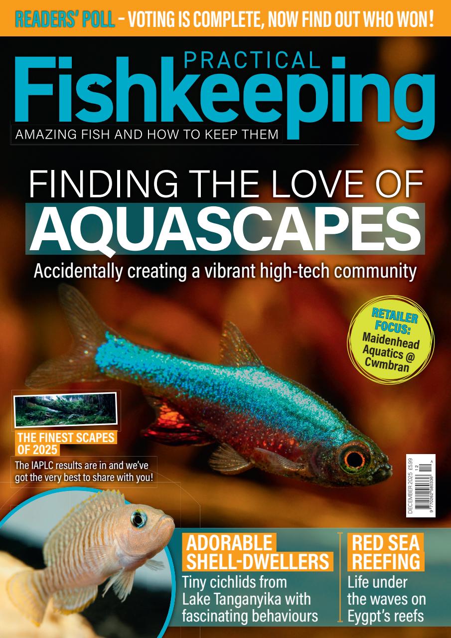 Practical Fishkeeping Preview Pages