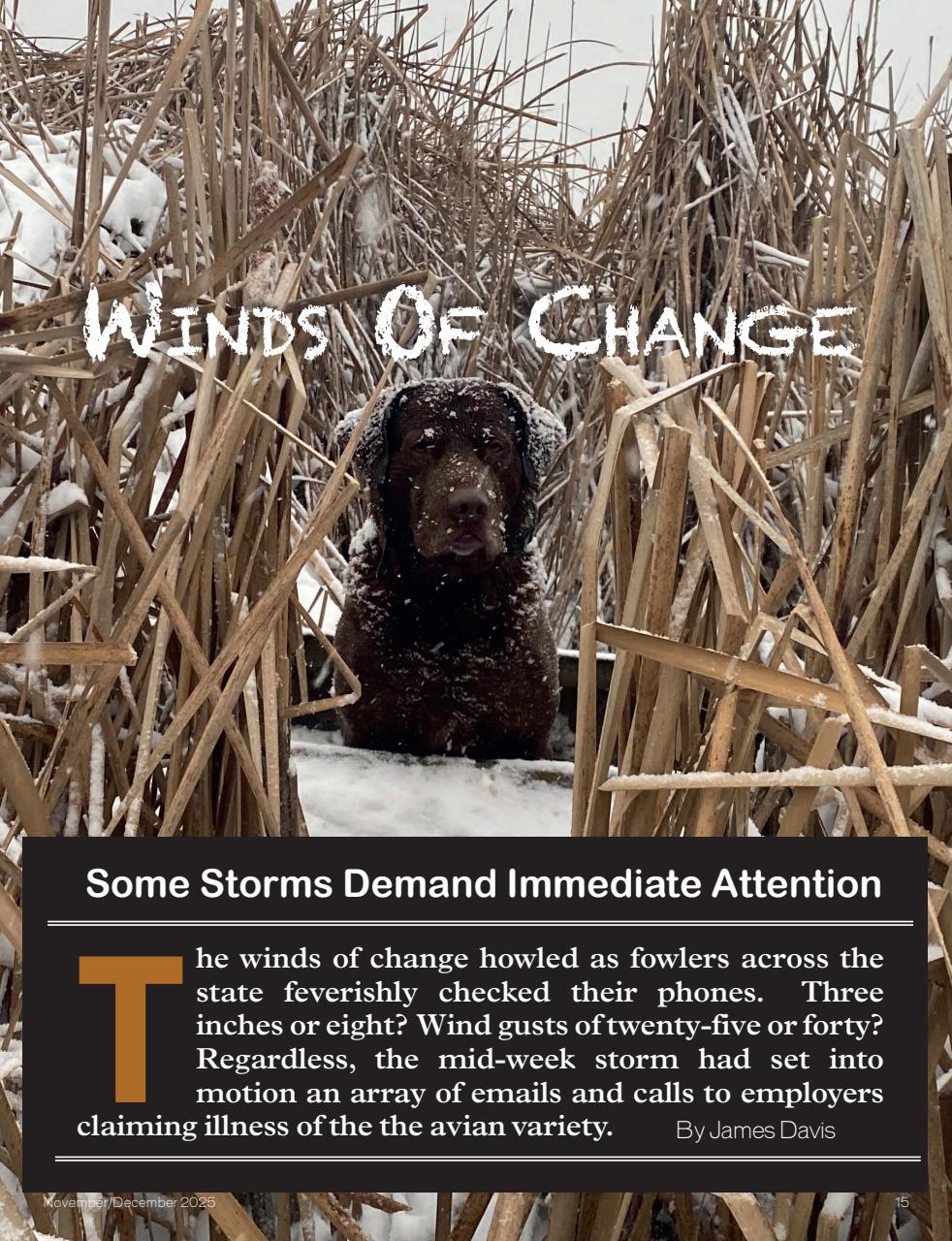 American Waterfowler Preview Pages