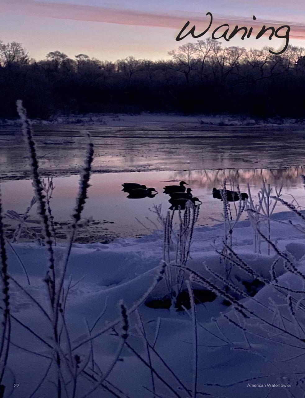 American Waterfowler Preview Pages