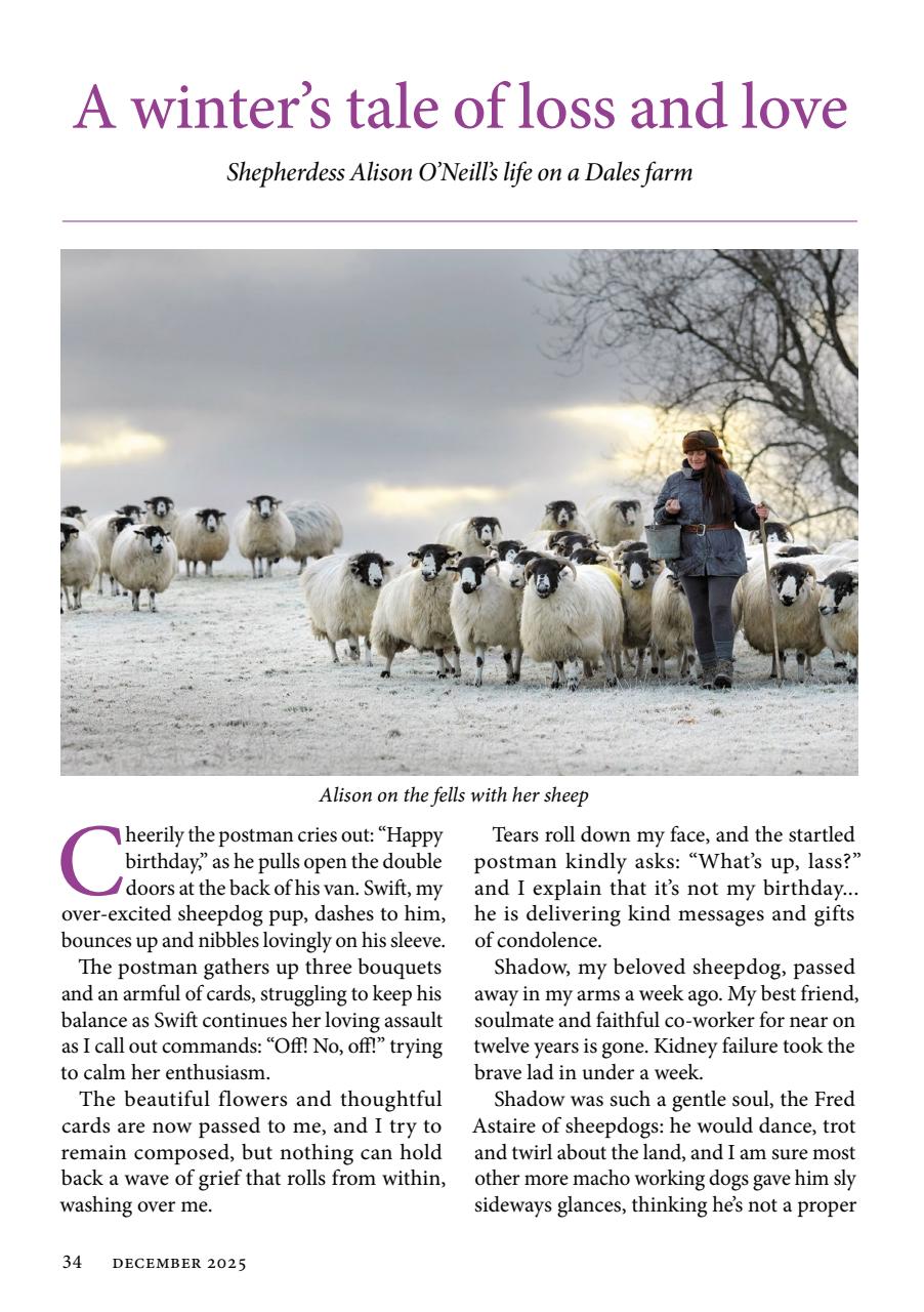 The Yorkshire Dalesman Preview Pages