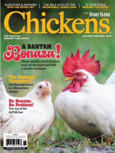 Chickens Magazine issue 