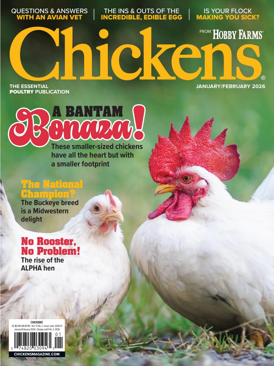 Chickens Magazine Preview Pages