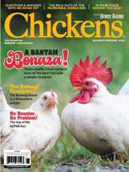 Chickens Magazine Complete Your Collection Cover 1