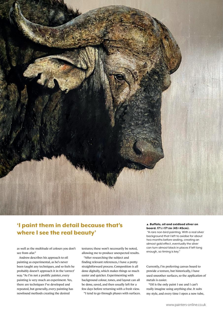 The Artist Preview Pages