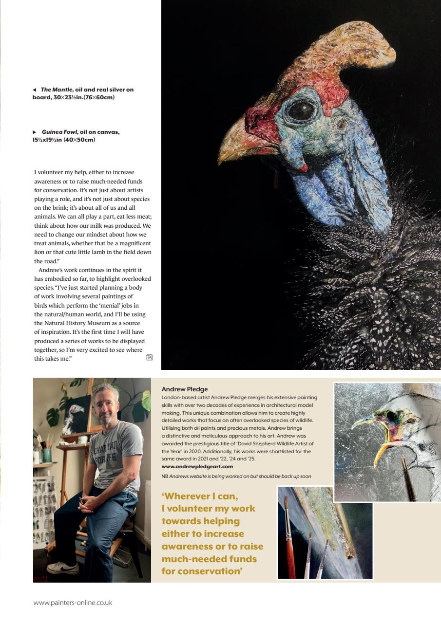 The Artist Preview Pages