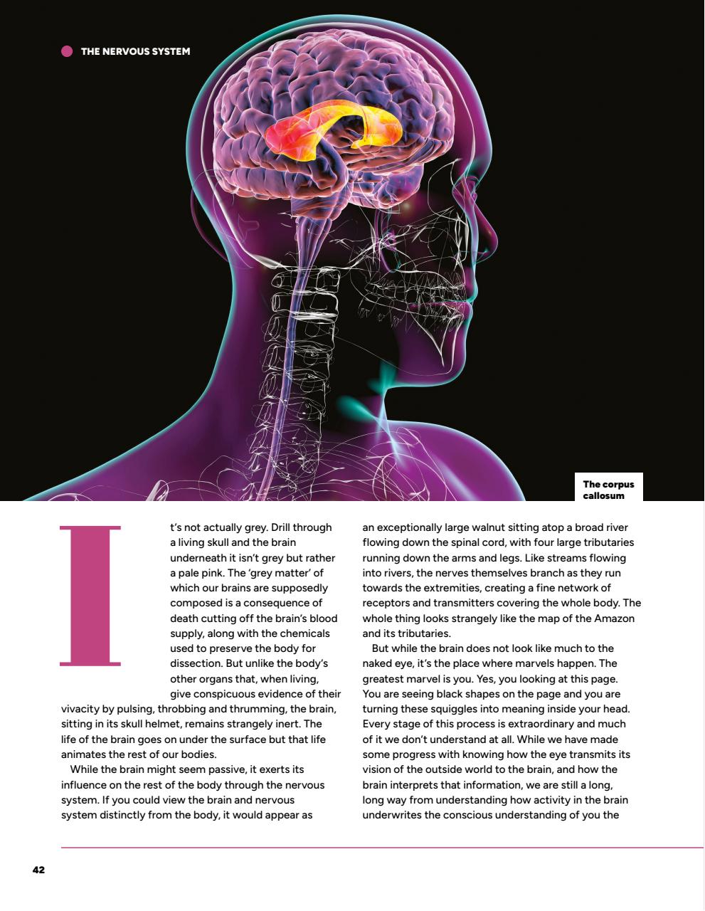 How It Works Bookazine Preview Pages