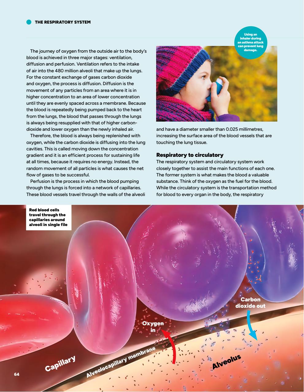 How It Works Bookazine Preview Pages