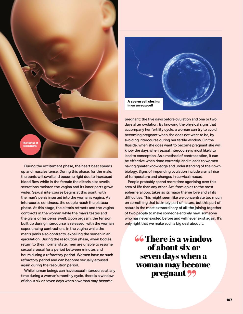 How It Works Bookazine Preview Pages