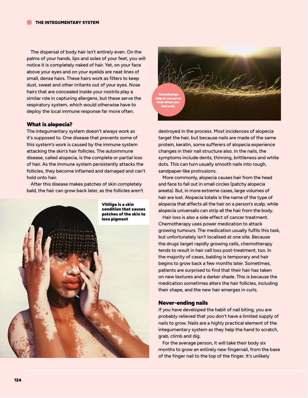 How It Works Bookazine Preview Pages