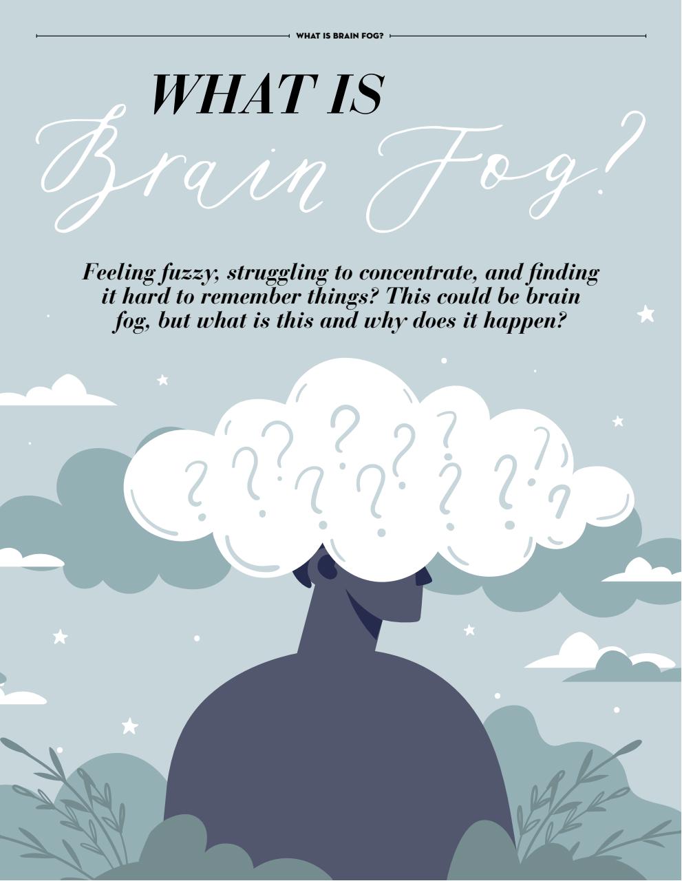 Lifestyle Bookazine Preview Pages