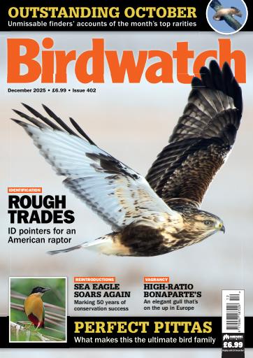 Birdwatch Magazine issue 