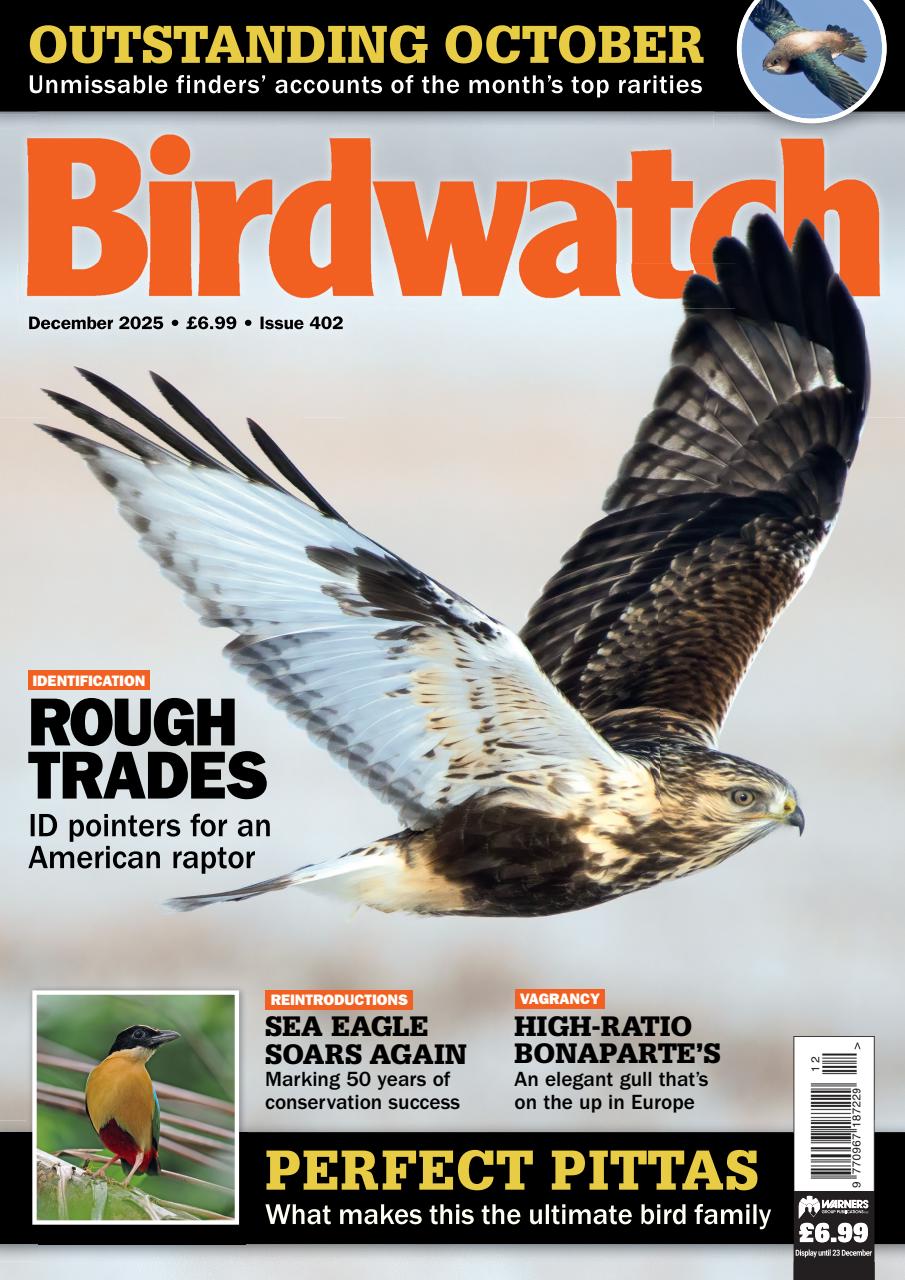 Birdwatch Magazine Preview Pages