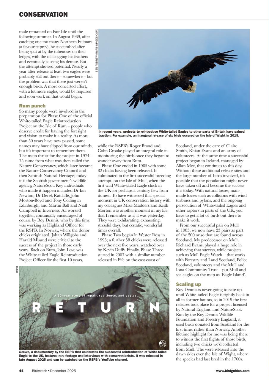 Birdwatch Magazine Preview Pages