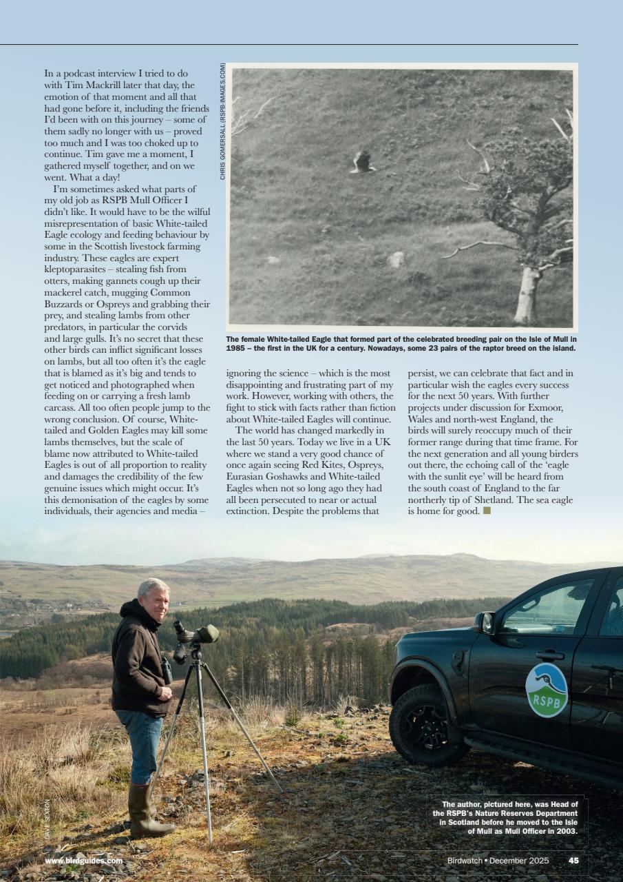 Birdwatch Magazine Preview Pages