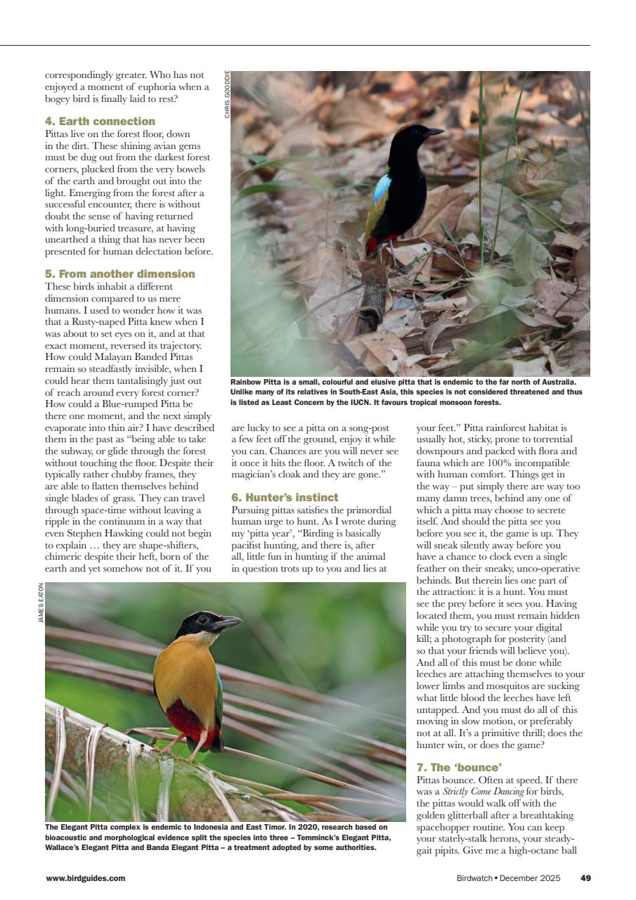 Birdwatch Magazine Preview Pages