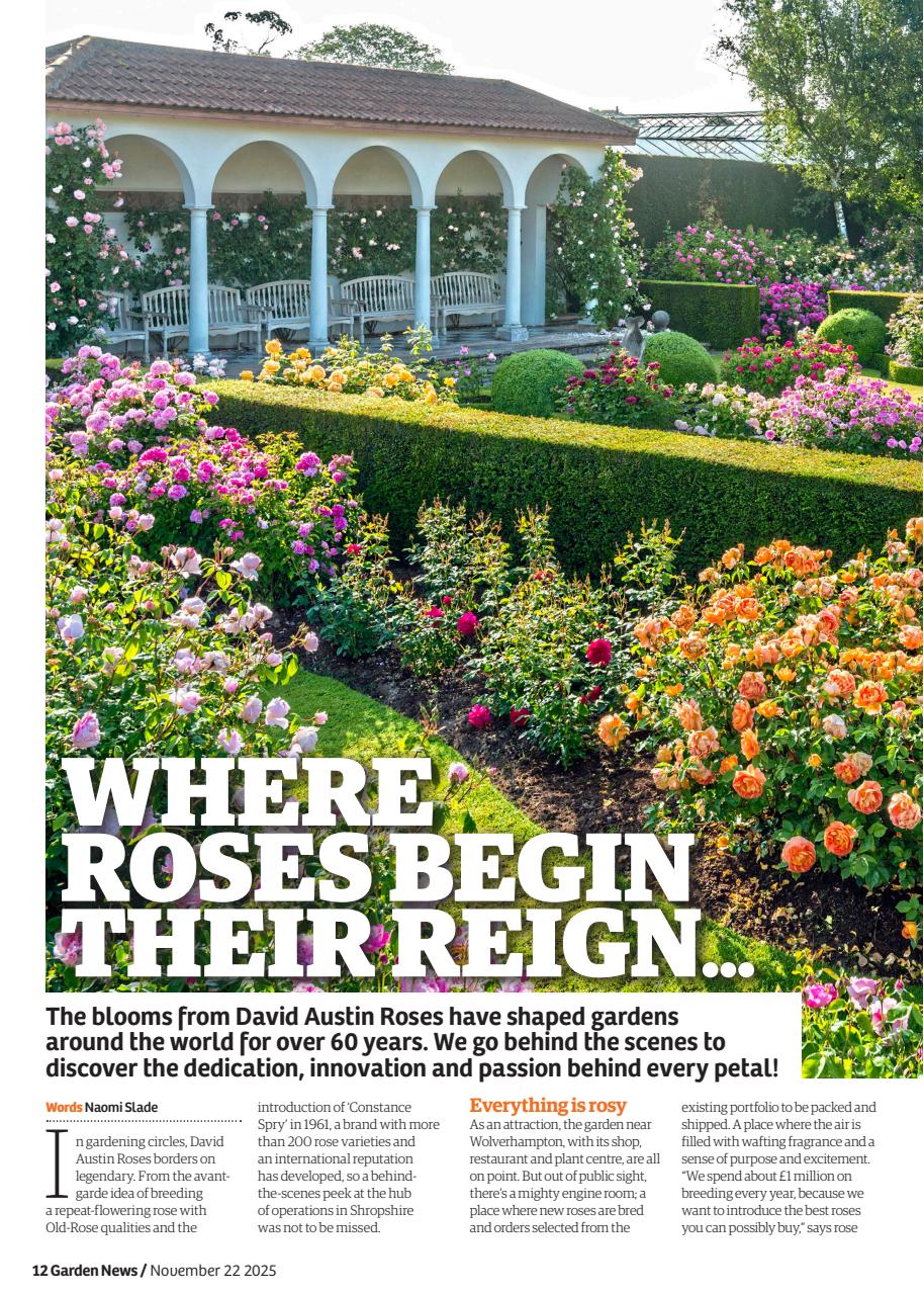 Garden News Preview Pages