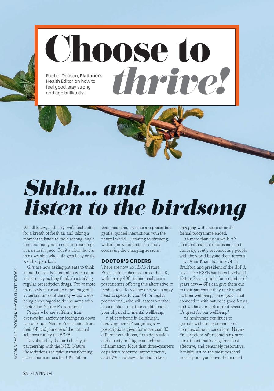 Platinum Preview Pages