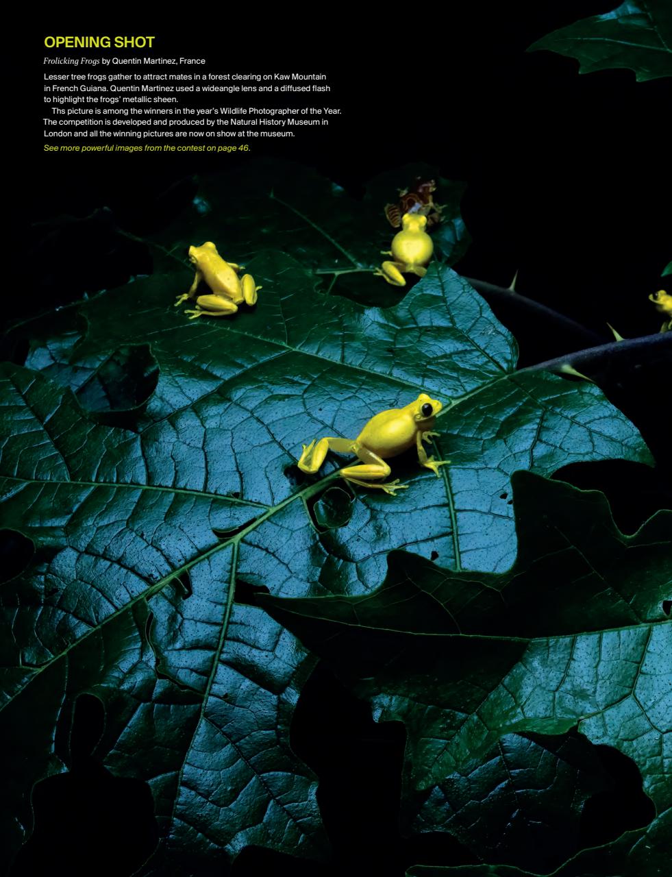 Outdoor Photography Preview Pages