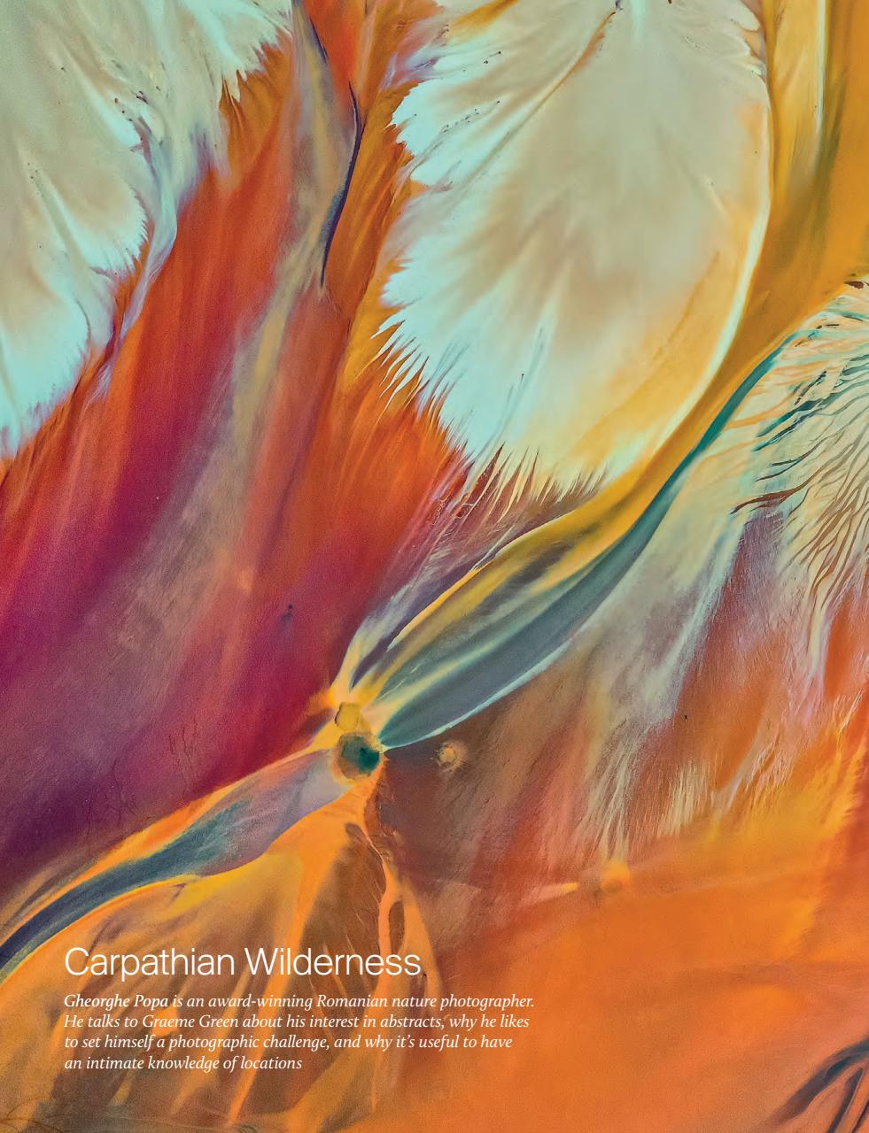 Outdoor Photography Preview Pages