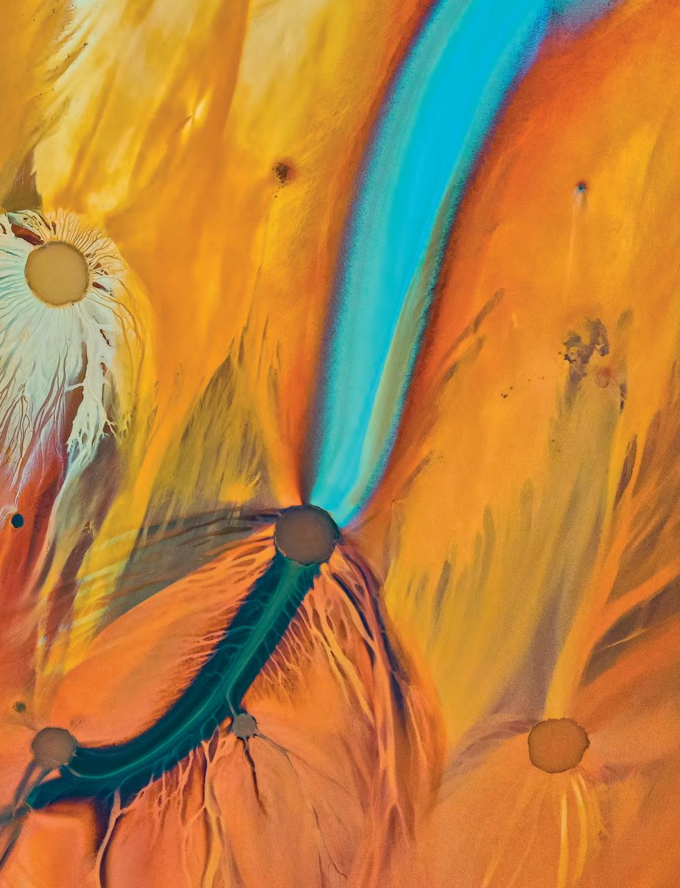 Outdoor Photography Preview Pages