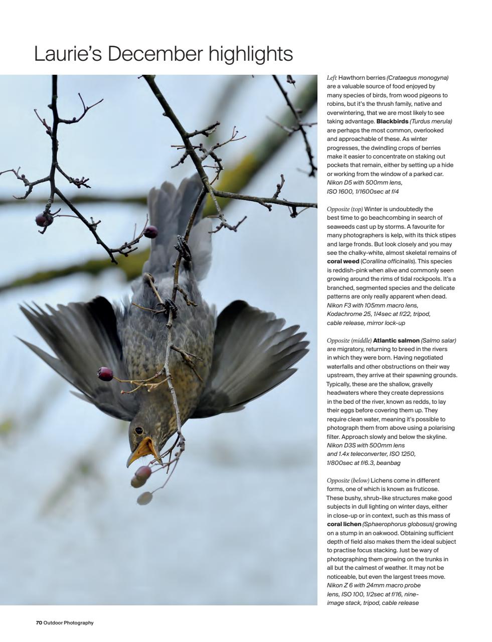 Outdoor Photography Preview Pages