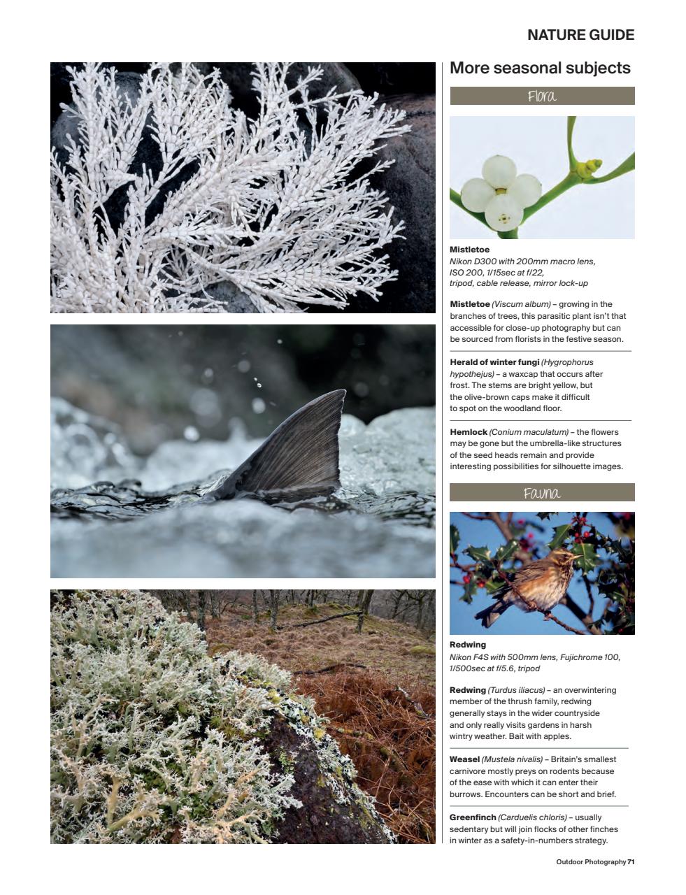 Outdoor Photography Preview Pages