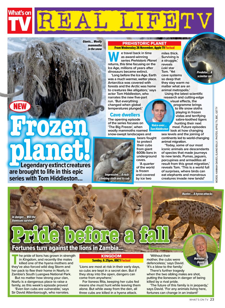 What's on TV Preview Pages