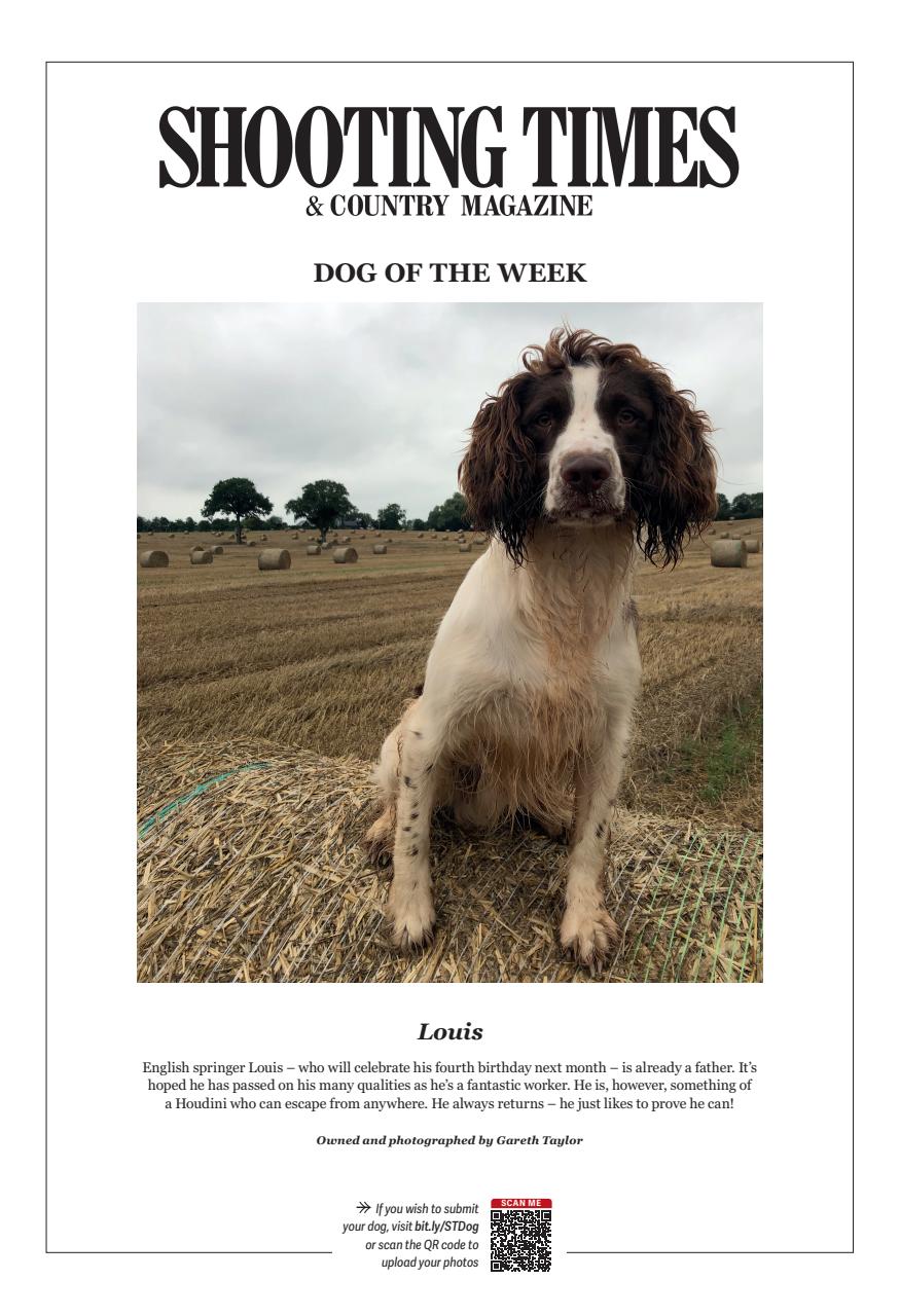 Shooting Times & Country Preview Pages