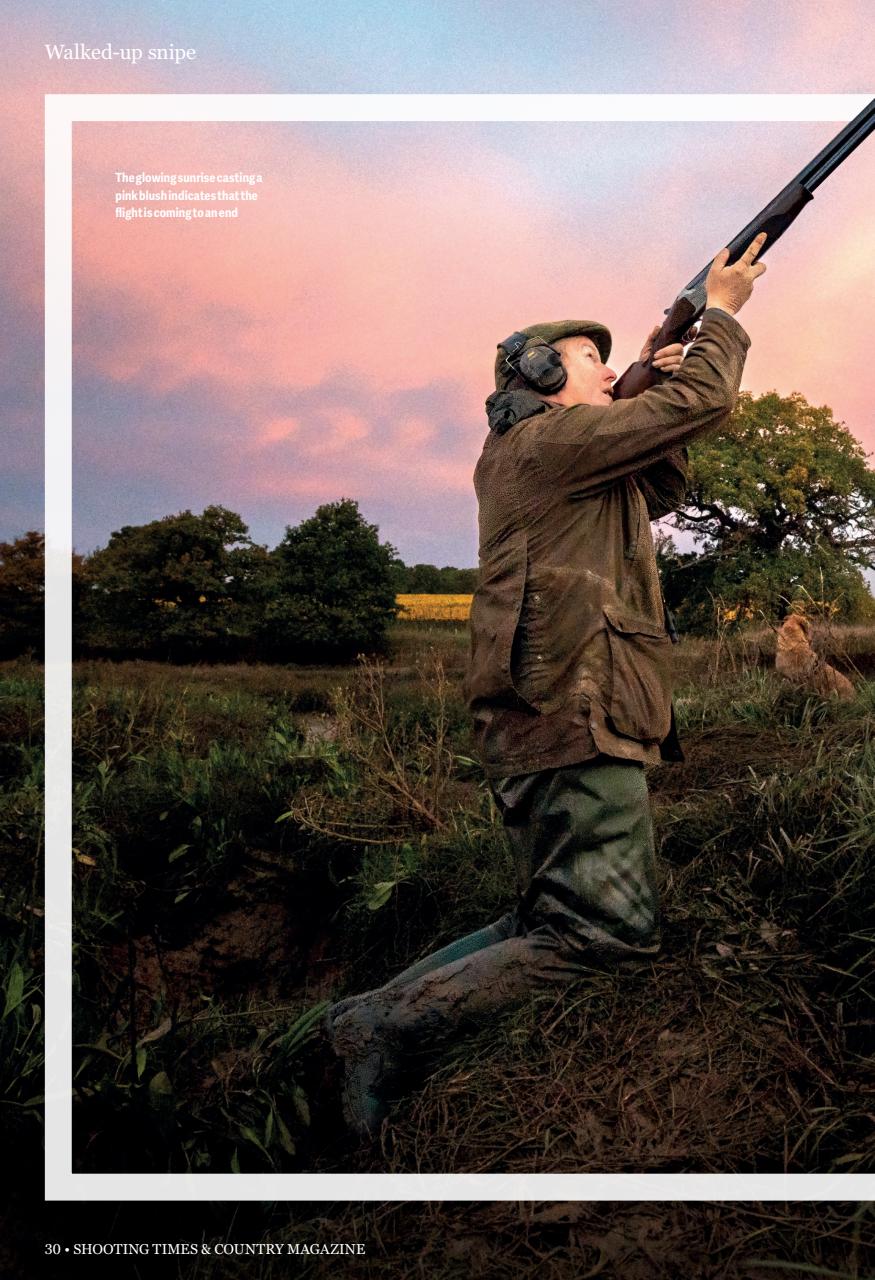 Shooting Times & Country Preview Pages