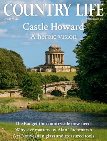 19th November 2025 issue 19th November 2025