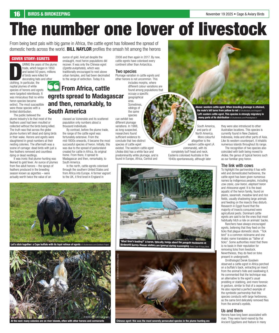 Cage & Aviary Birds Preview Pages