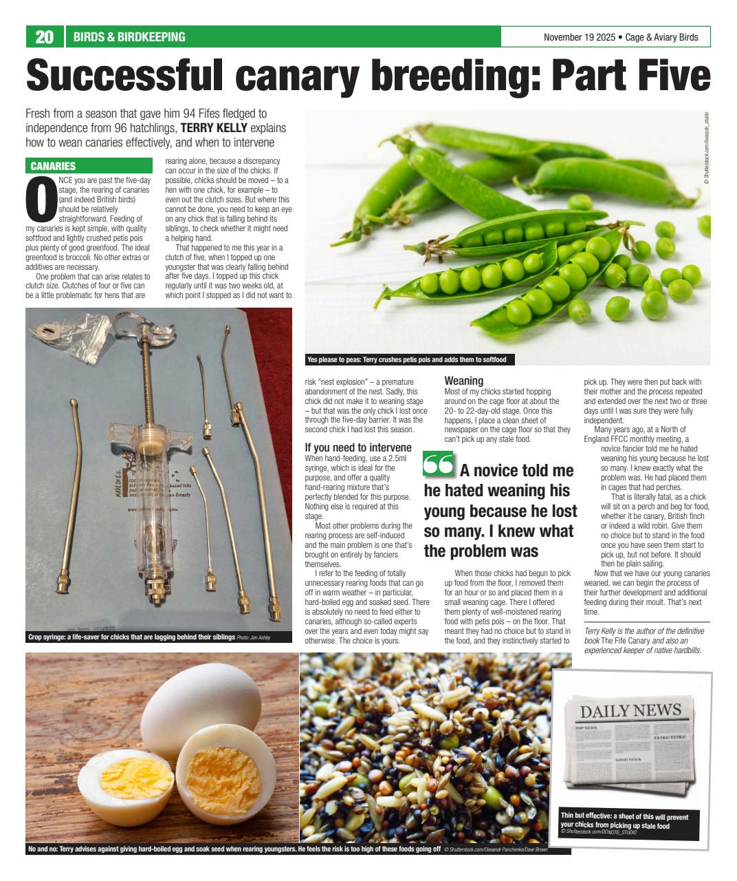 Cage & Aviary Birds Preview Pages