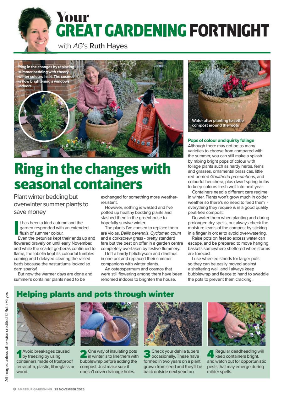 Amateur Gardening Preview Pages