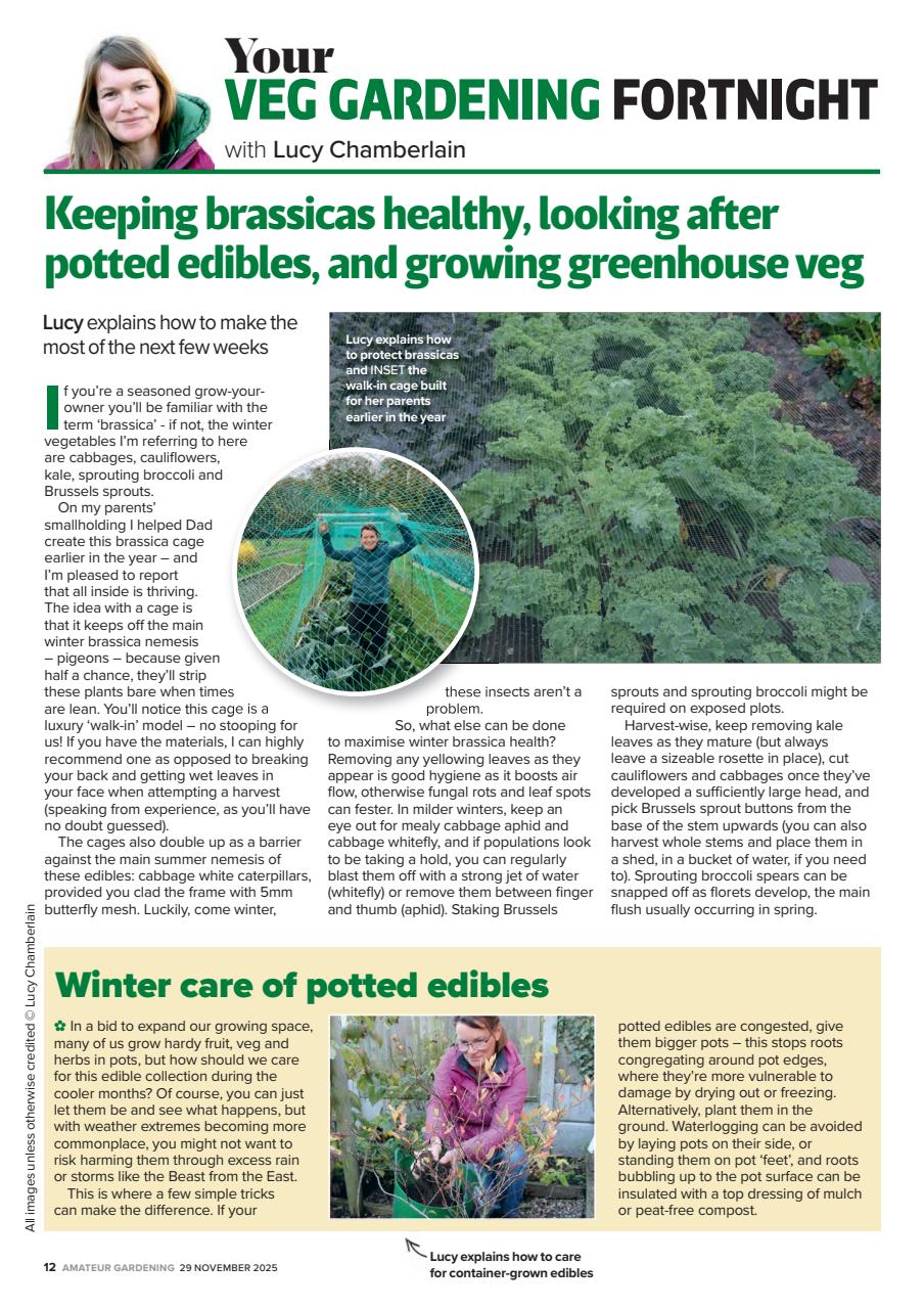 Amateur Gardening Preview Pages