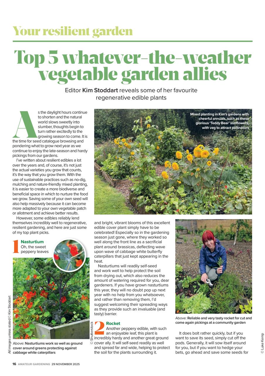 Amateur Gardening Preview Pages
