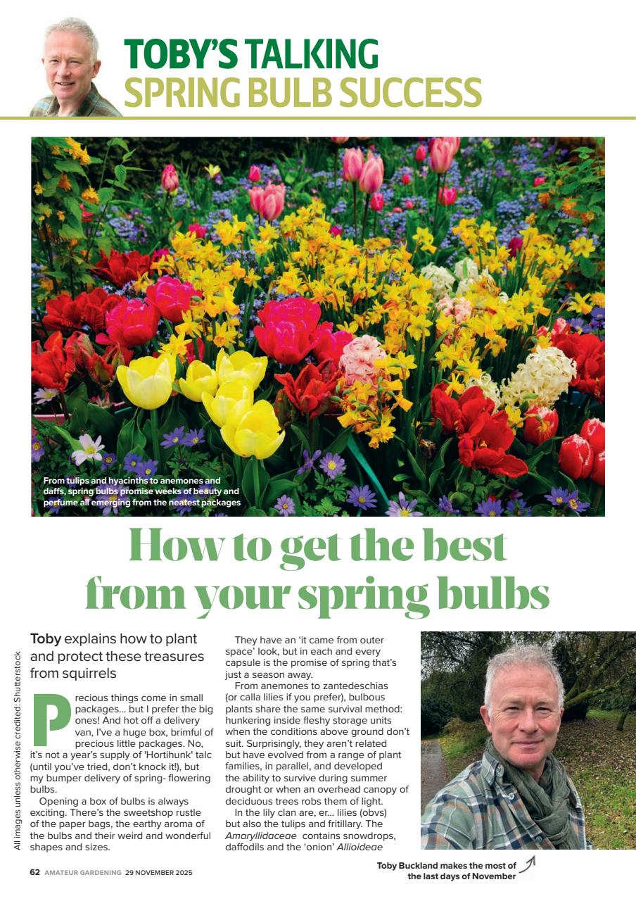 Amateur Gardening Preview Pages