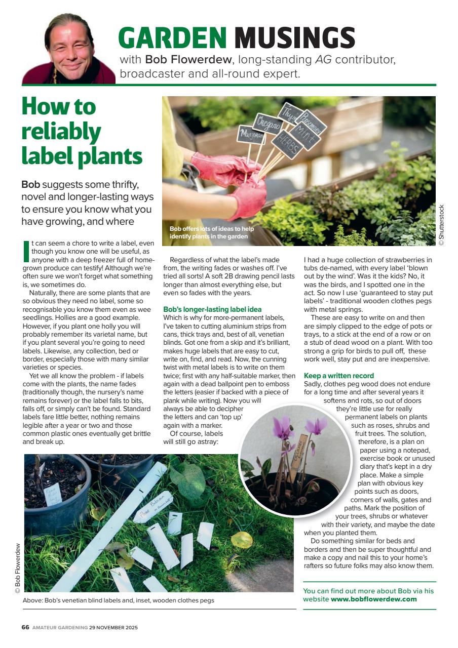 Amateur Gardening Preview Pages