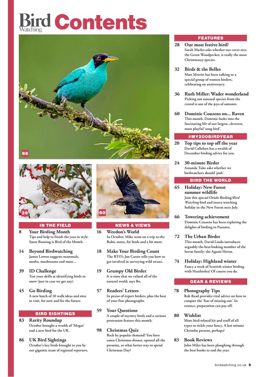 Bird Watching Preview Pages