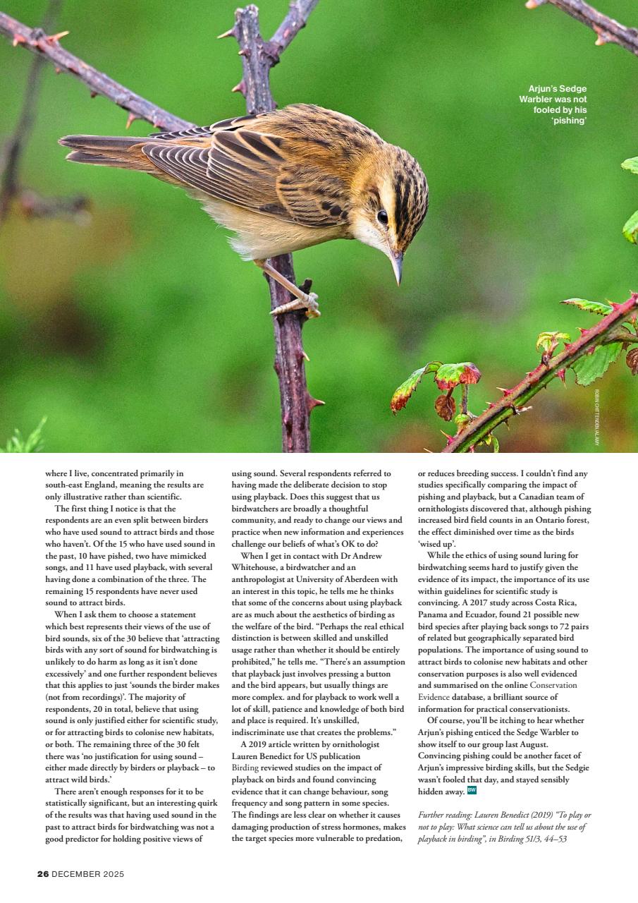 Bird Watching Preview Pages