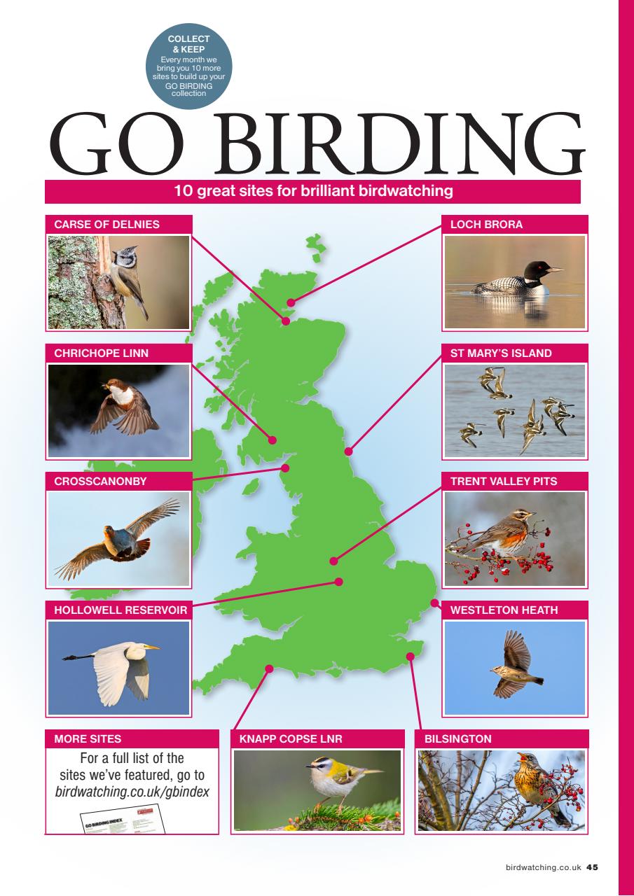 Bird Watching Preview Pages