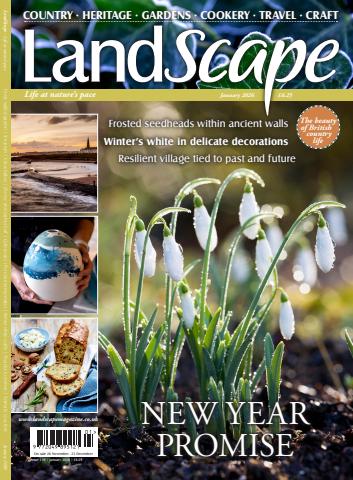 LandScape issue Jan-26
