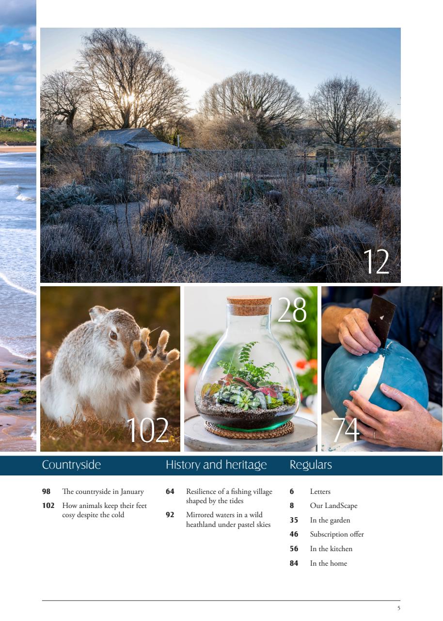 LandScape Preview Pages