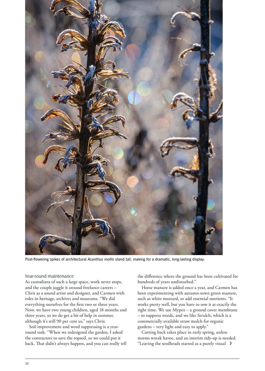 LandScape Preview Pages