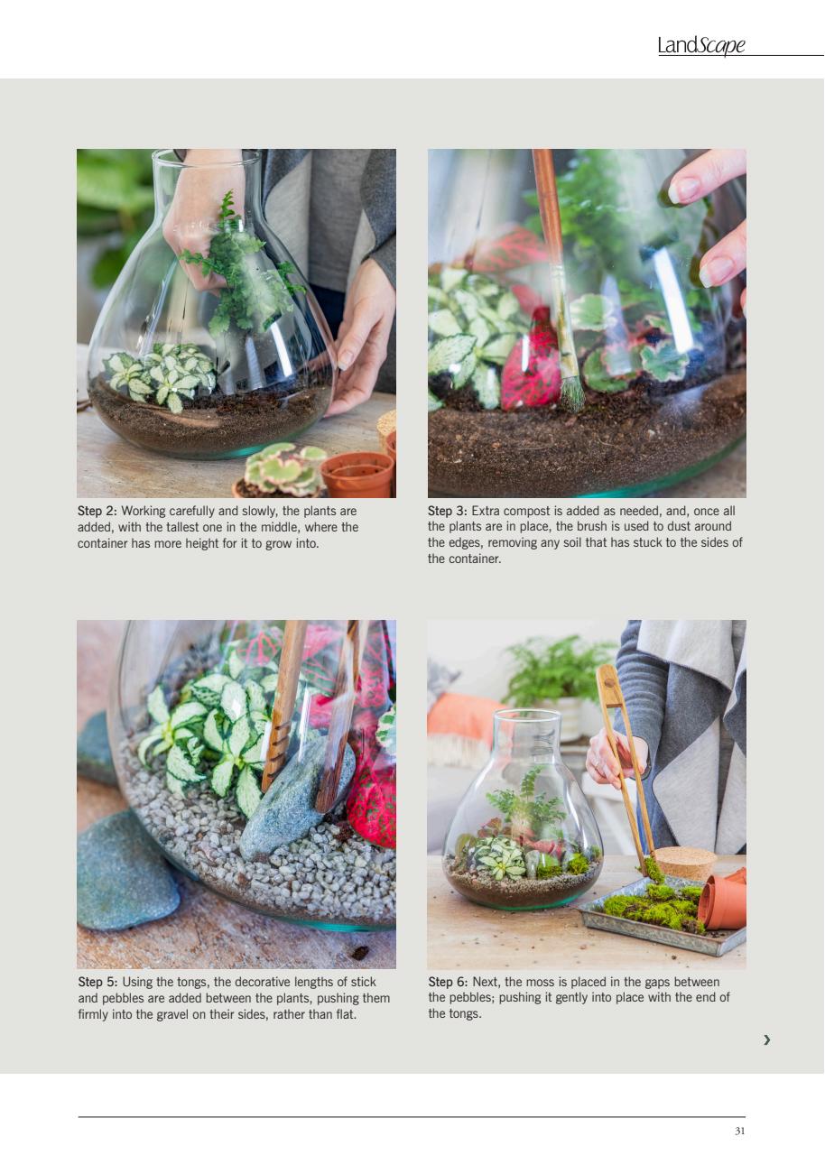 LandScape Preview Pages